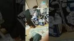 2025年11月13日 - YouTubeの動画