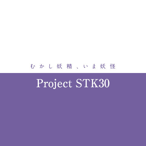STK30の画像